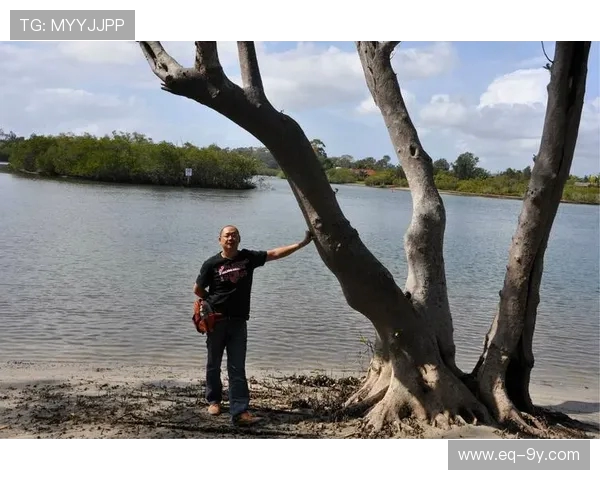 以宁乡香山冲足球场为中心探索周边文化休闲与自然魅力之旅全景行