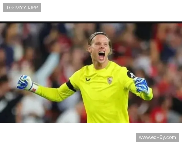 尼兰德在足球场上的综合实力分析及其对球队的贡献